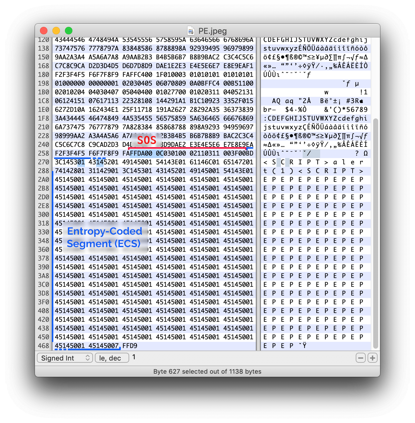 Hexadecimal view of the JFIF structure, with the payload visible in the ECS section