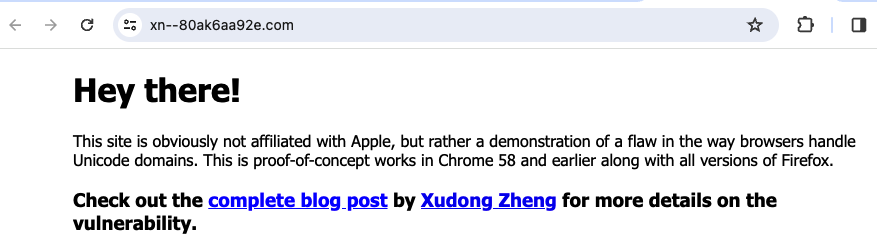 Example Punycode Domain Screenshot